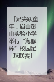 足尖跃童年，眉山彭山实验小学举行“海豚杯”校园足球联赛