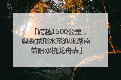 跨越1500公里，奥森龙形水系迎来湖南益阳双桡龙舟表