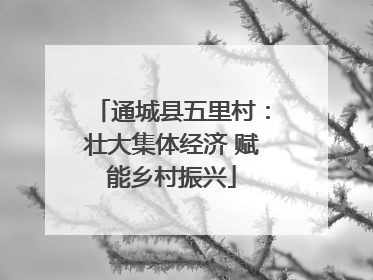通城县五里村：壮大集体经济 赋能乡村振兴