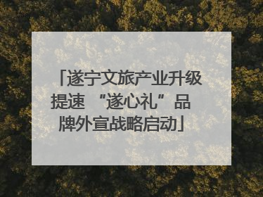 遂宁文旅产业升级提速 “遂心礼”品牌外宣战略启动