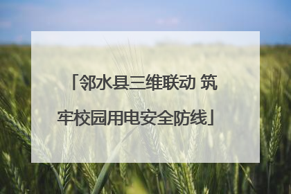 邻水县三维联动 筑牢校园用电安全防线