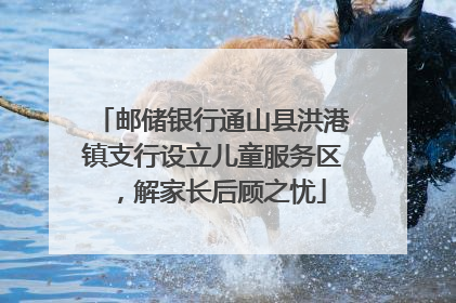 邮储银行通山县洪港镇支行设立儿童服务区，解家长后顾之忧