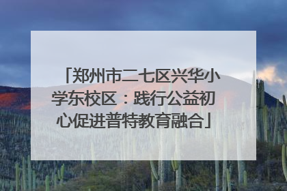 郑州市二七区兴华小学东校区：践行公益初心促进普特教育融合