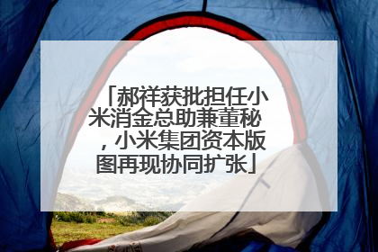 郝祥获批担任小米消金总助兼董秘，小米集团资本版图再现协同扩张