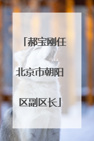 郝宝刚任北京市朝阳区副区长