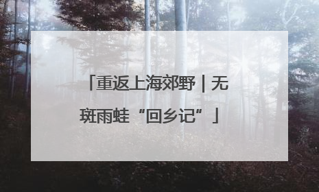 重返上海郊野｜无斑雨蛙“回乡记”