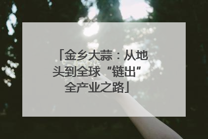金乡大蒜：从地头到全球“链出”全产业之路