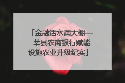 金融活水润大棚——莘县农商银行赋能设施农业升级纪实