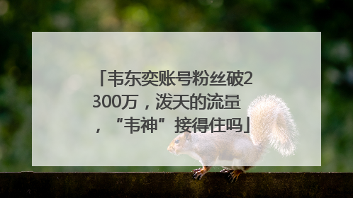 韦东奕账号粉丝破2300万，泼天的流量，“韦神”接得住吗