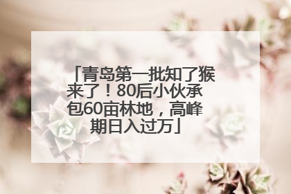 青岛第一批知了猴来了！80后小伙承包60亩林地，高峰期日入过万