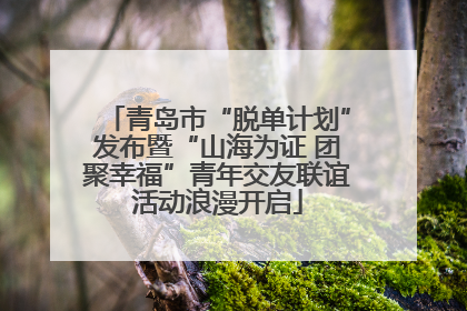青岛市“脱单计划”发布暨“山海为证 团聚幸福”青年交友联谊活动浪漫开启