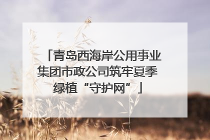 青岛西海岸公用事业集团市政公司筑牢夏季绿植“守护网”