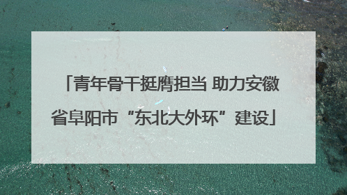 青年骨干挺膺担当 助力安徽省阜阳市“东北大外环”建设