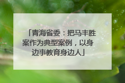 青海省委：把马丰胜案作为典型案例，以身边事教育身边人
