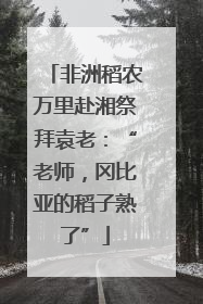 非洲稻农万里赴湘祭拜袁老：“老师，冈比亚的稻子熟了”