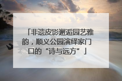 非遗皮影邂逅园艺雅韵，顺义公园演绎家门口的“诗与远方”