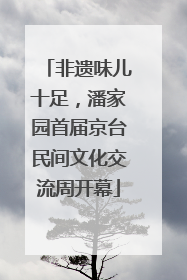 非遗味儿十足，潘家园首届京台民间文化交流周开幕
