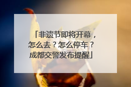 非遗节即将开幕，怎么去？怎么停车？成都交警发布提醒