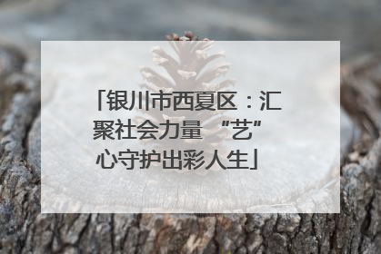 银川市西夏区：汇聚社会力量 “艺”心守护出彩人生