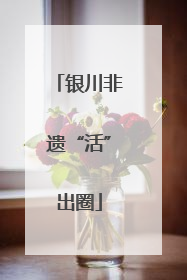 银川非遗“活”出圈