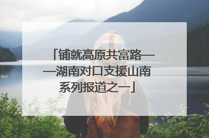 铺就高原共富路——湖南对口支援山南系列报道之一