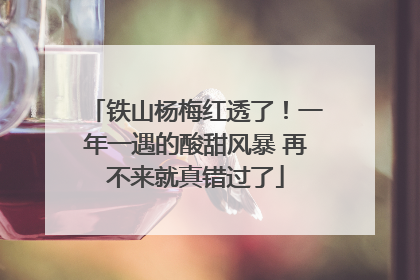 铁山杨梅红透了！一年一遇的酸甜风暴 再不来就真错过了