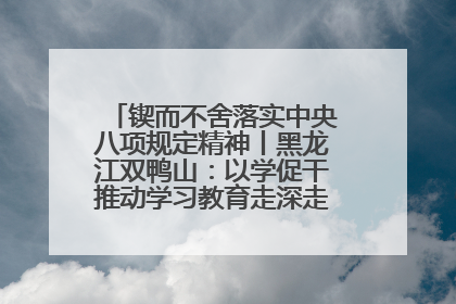 锲而不舍落实中央八项规定精神丨黑龙江双鸭山：以学促干推动学习教育走深走实 从小事入手写好“民生答卷”