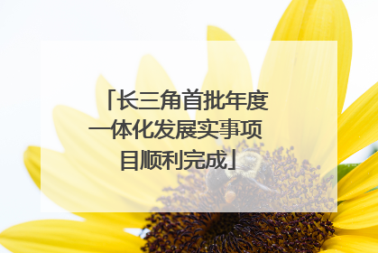 长三角首批年度一体化发展实事项目顺利完成