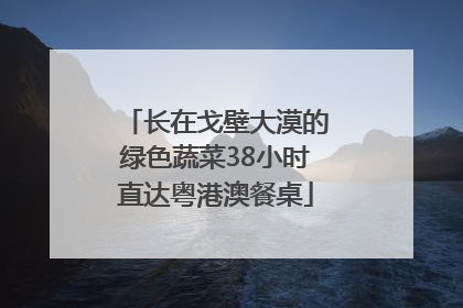 长在戈壁大漠的绿色蔬菜38小时直达粤港澳餐桌