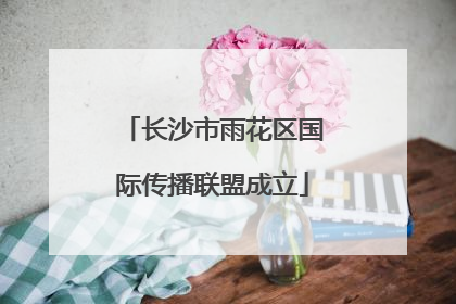 长沙市雨花区国际传播联盟成立