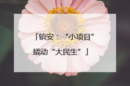 镇安：“小项目”撬动“大民生”