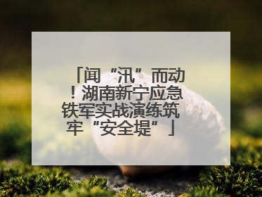 闻“汛”而动！湖南新宁应急铁军实战演练筑牢“安全堤”