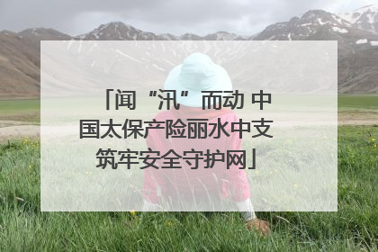 闻“汛”而动 中国太保产险丽水中支筑牢安全守护网
