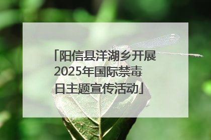 阳信县洋湖乡开展2025年国际禁毒日主题宣传活动