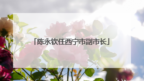 陈永钦任西宁市副市长
