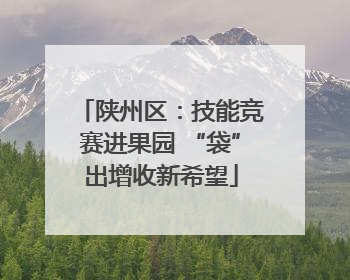 陕州区：技能竞赛进果园 “袋”出增收新希望