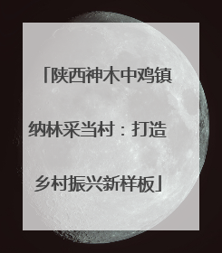 陕西神木中鸡镇纳林采当村：打造乡村振兴新样板