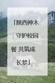 陕西神木：守护校园餐 共筑成长梦