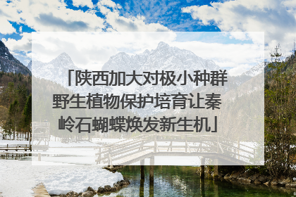 陕西加大对极小种群野生植物保护培育让秦岭石蝴蝶焕发新生机