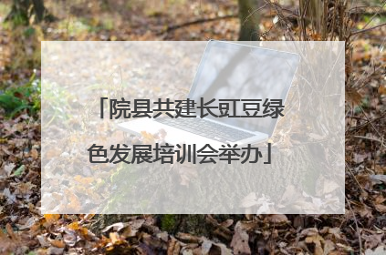 院县共建长豇豆绿色发展培训会举办