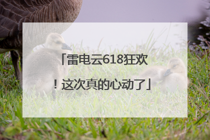 雷电云618狂欢！这次真的心动了