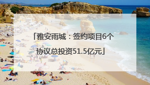 雅安雨城：签约项目6个 协议总投资51.5亿元
