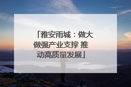 雅安雨城：做大做强产业支撑 推动高质量发展