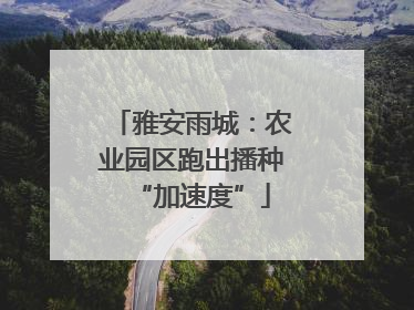 雅安雨城：农业园区跑出播种“加速度”