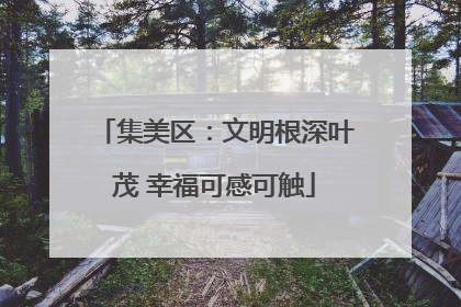 集美区：文明根深叶茂 幸福可感可触