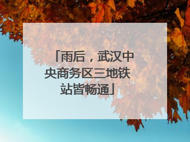 雨后，武汉中央商务区三地铁站皆畅通