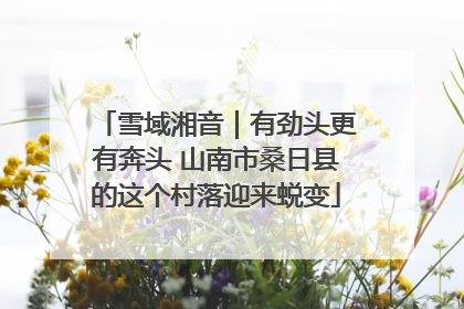 雪域湘音｜有劲头更有奔头 山南市桑日县的这个村落迎来蜕变