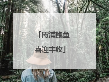 霞浦鲍鱼喜迎丰收