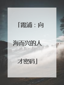 霞浦：向海而兴的人才密码