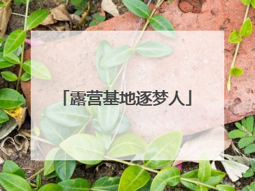 露营基地逐梦人